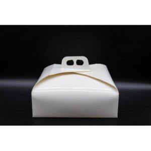 SCATOLE PORTA TORTA PLASTIFICATE